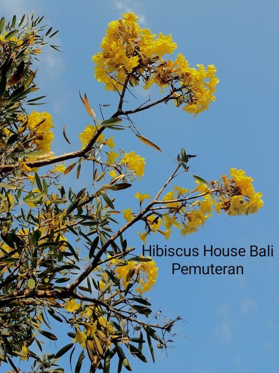 Hibiscus House Pemuteran Bali Hotell Exteriör bild