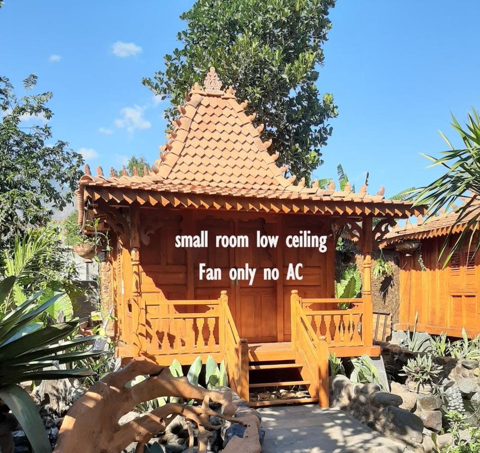 Hibiscus House Pemuteran Bali Hotell Exteriör bild